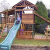 The Wonderwood