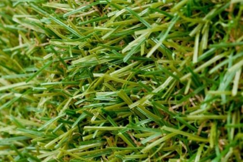 Artificial Grass 20mm Eden €15.25 m2
